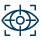 Vision Icon